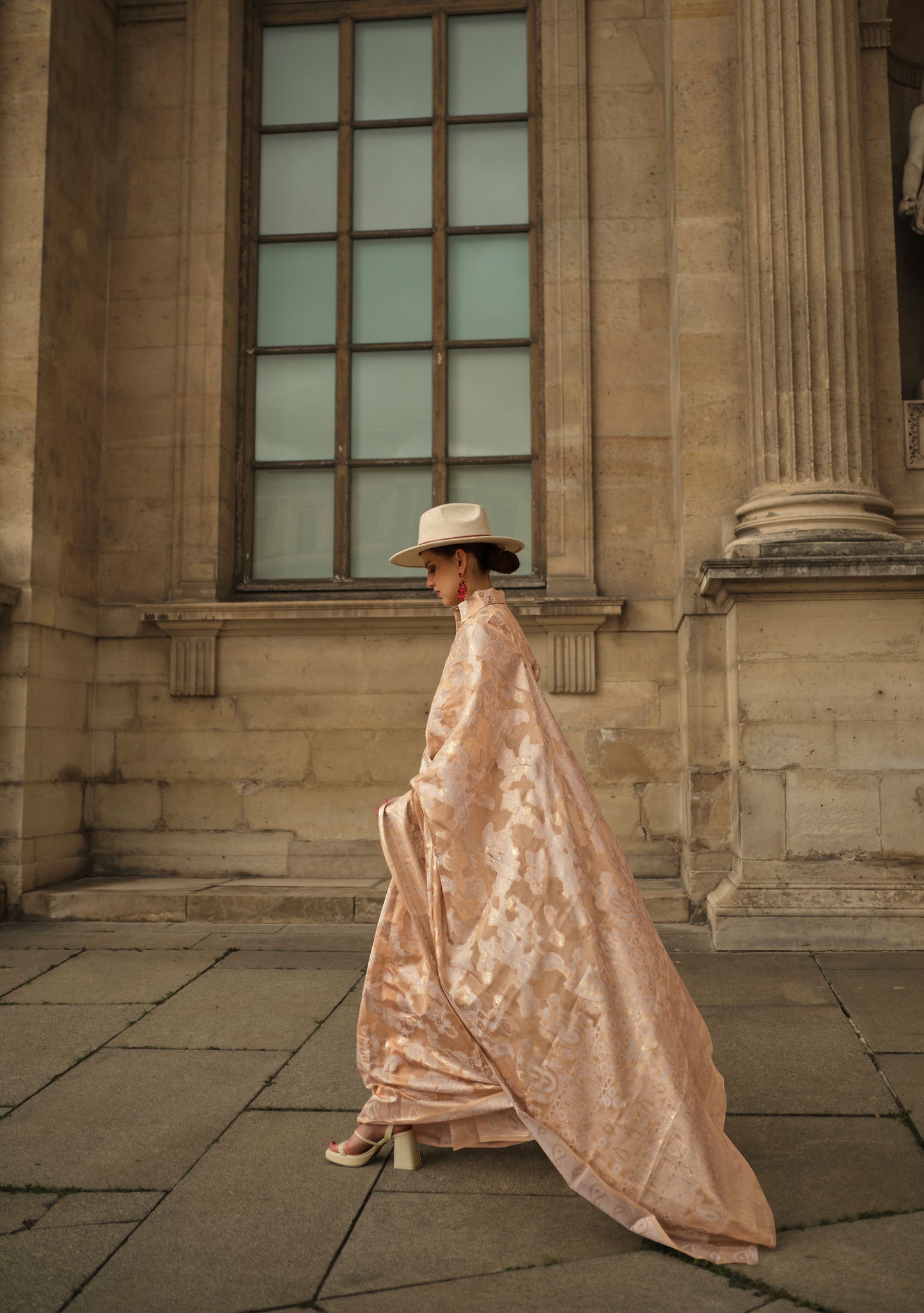 Beige Kaneeza Lucknow Chikankari Zari Saree