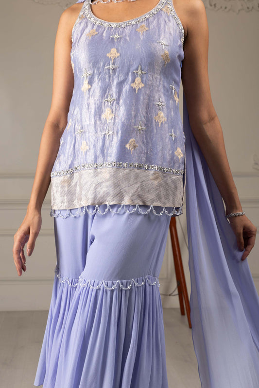 Royalty Sky Blue Banaras Organza Thread & Pearl Bridesmaid Sharara