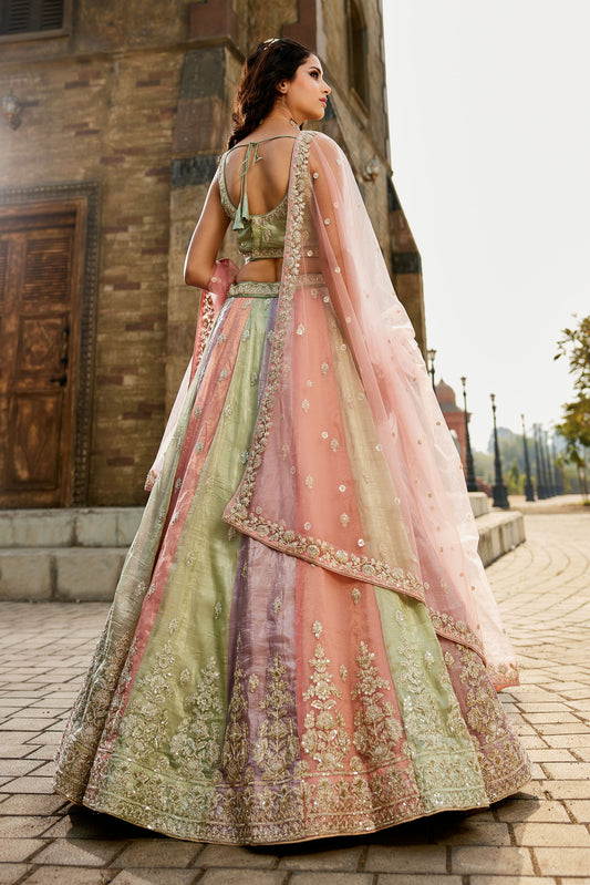 Multi colour Tissue Sequins embroidery Lehenga choli & Dupatta