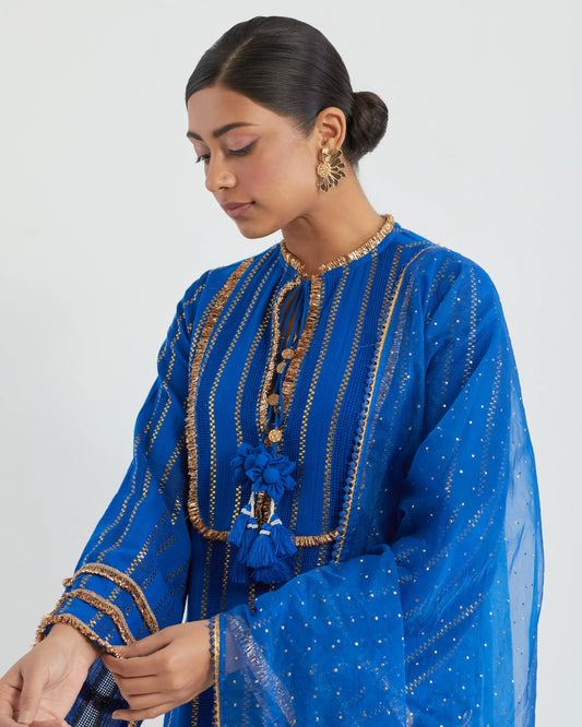 Neelam Cotton Jhilmil kurta set