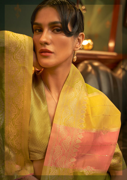 Lime Multi color Kenzo Organza Saree