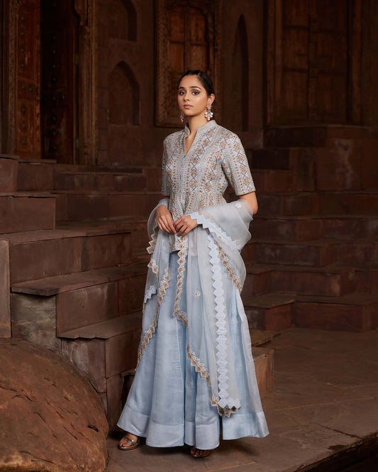 Art Deco Powder Blue Organza Silk Hand Embroidered Party Sharara