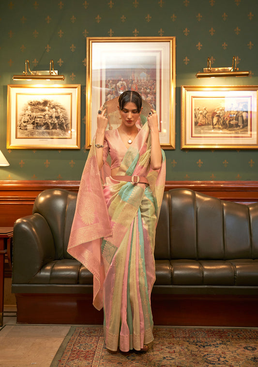 Pale Multi color Kenzo Organza Saree