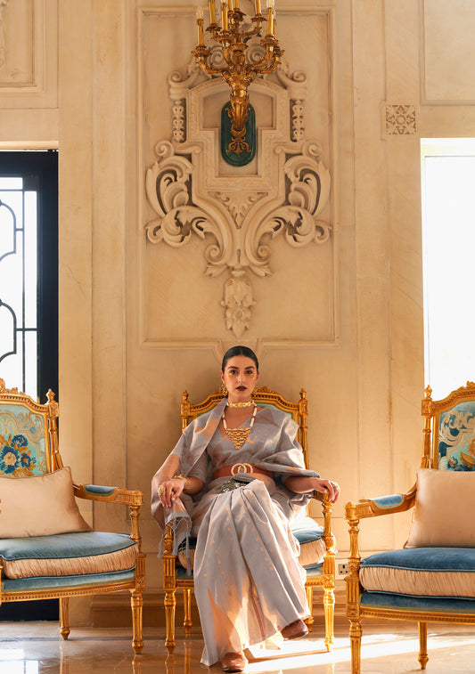 Grey Kyaari Silk Tissue Zari Khicha Zari Handloom Saree