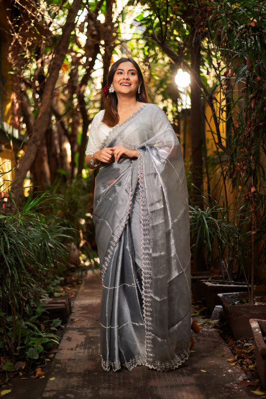 Grey handwork jimmychoo organza saree