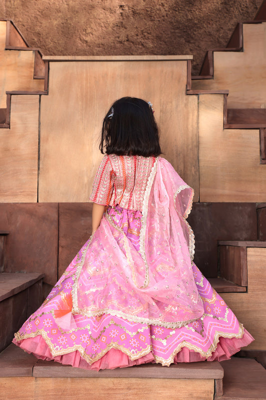 Pink Embroidred Choli with Purple Lehenga