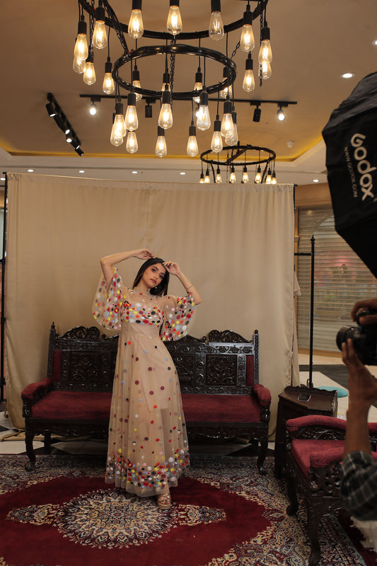 Beige Tulle Floral embroidered ankle - length round - neck Designer dress