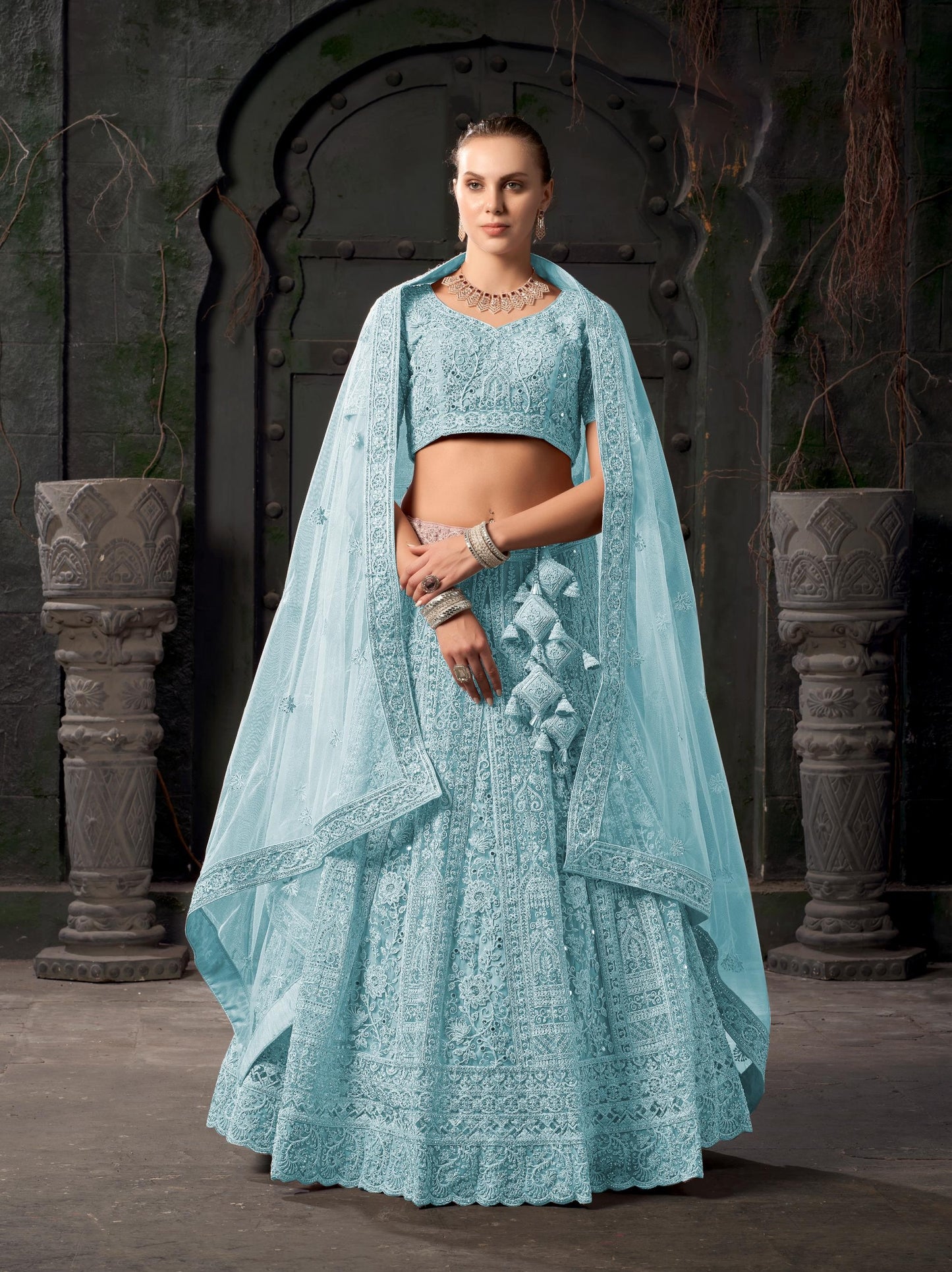 Sky Blue Zarkan Embroidery Net Party Wear Lehenga