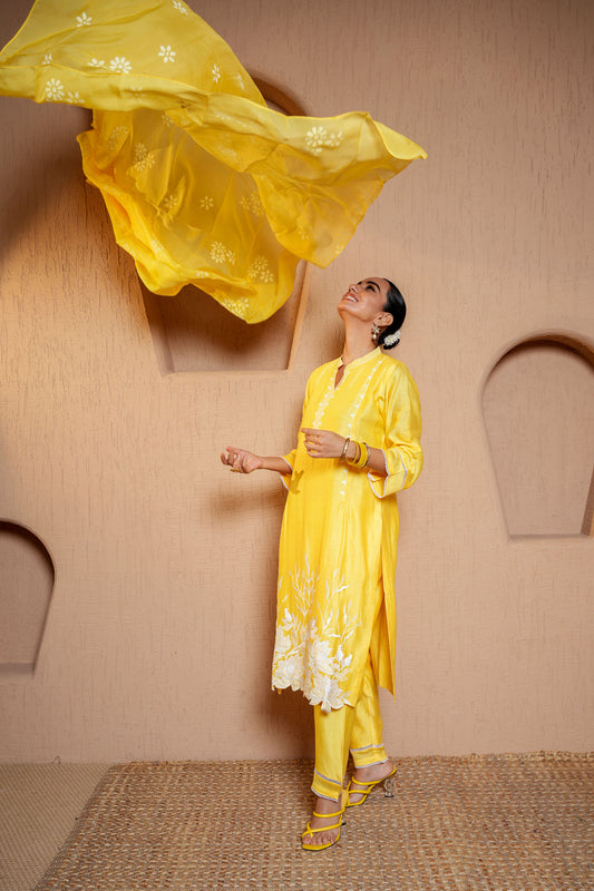 Yellow Chanderi Hand Embroidered Haldi Kurta Set