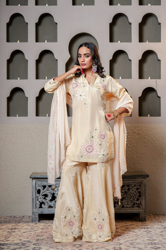 Beige Tissue With Flower Hand Work Sharara Set