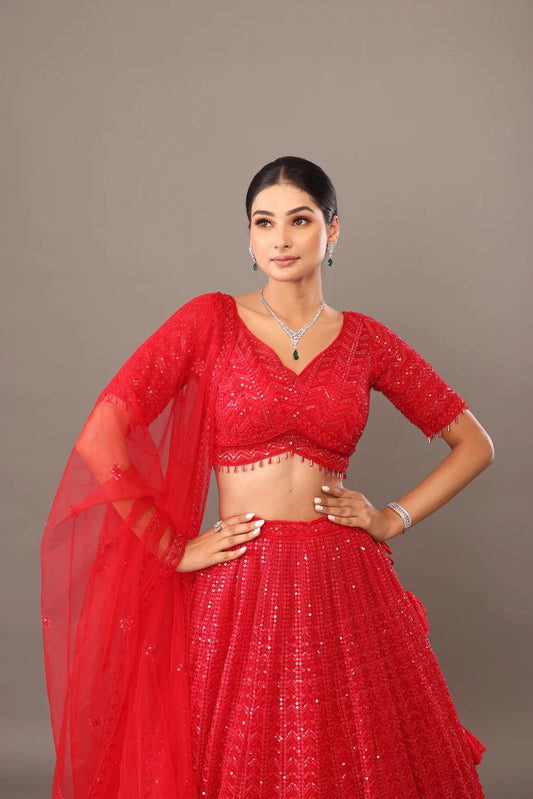 Red Net Lehanga with heavy work bhas