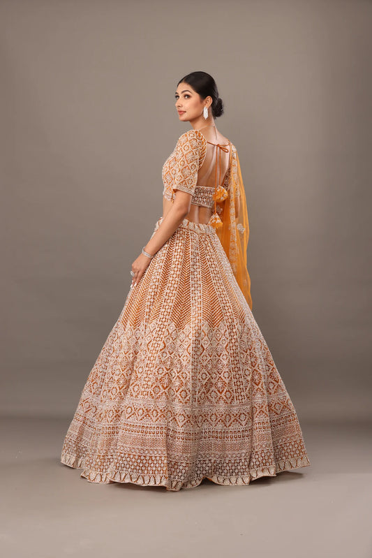 Yellow Net lehenga with embroidery bhas