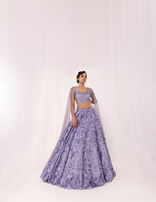 Lilac Pearl Embroidery Net Sangeet Lehenga