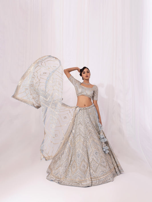 Silver Sequins Embroidery Net Reception Lehenga