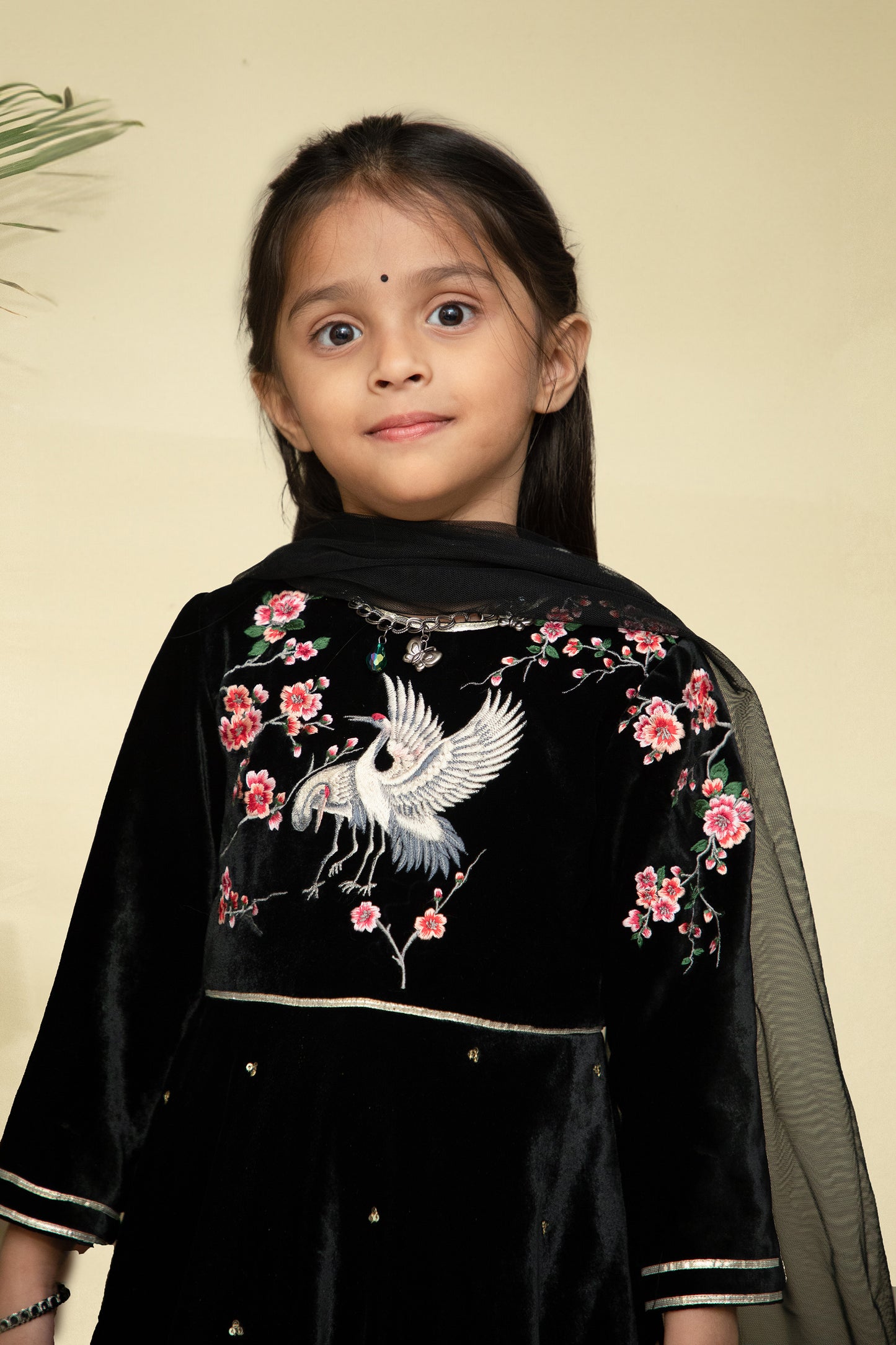 Black Velvet kids Anarkali