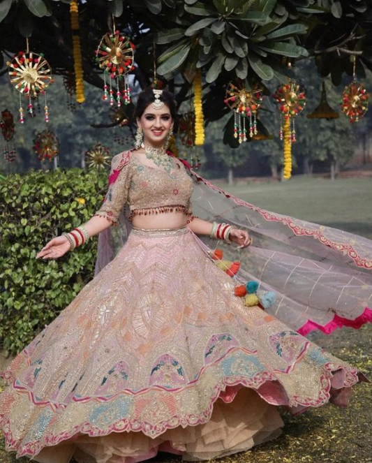 Blush Pink Organza Sequined With Zari And Resham Work Bridal Lehenga
