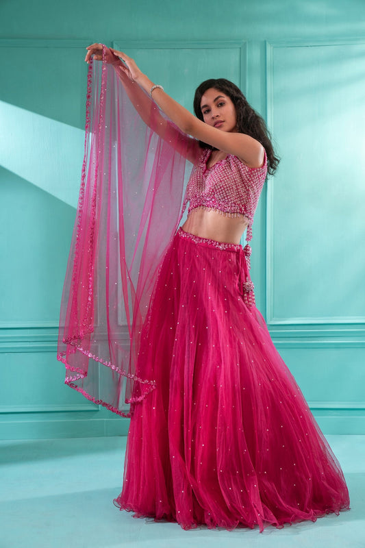 Fuschia Pink Festive Lehenga set in Net
