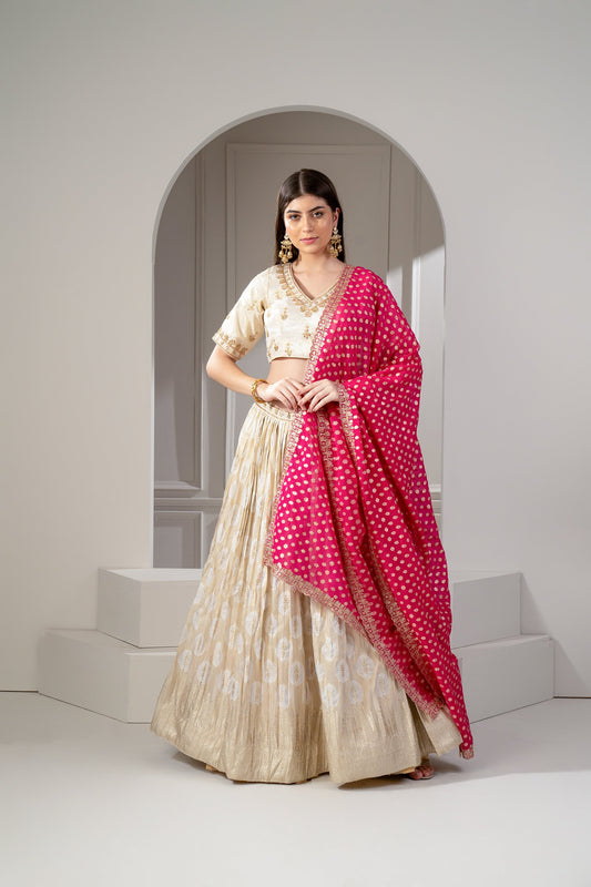 Golden Beige Banarasi Silk Zari and Thread Embroidered Lehenga Set
