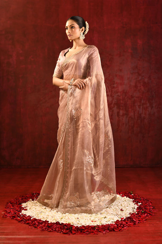 Beige Gold Embroidered Tissue Gomatha Saree