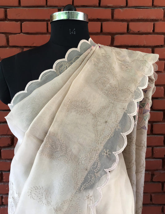 Light Baish Pure Silk organza Tepchi Pure Chikankari Saree
