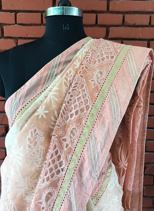 Light Peach Pure Silk organza Tepchi Pure Chikankari Saree