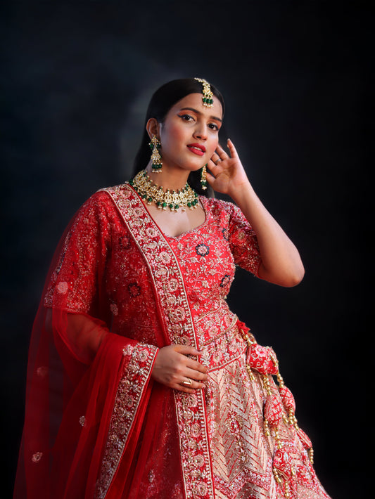 Red Raw Silk Hand Embroidered Crystal Zircon Bridal Lehenga