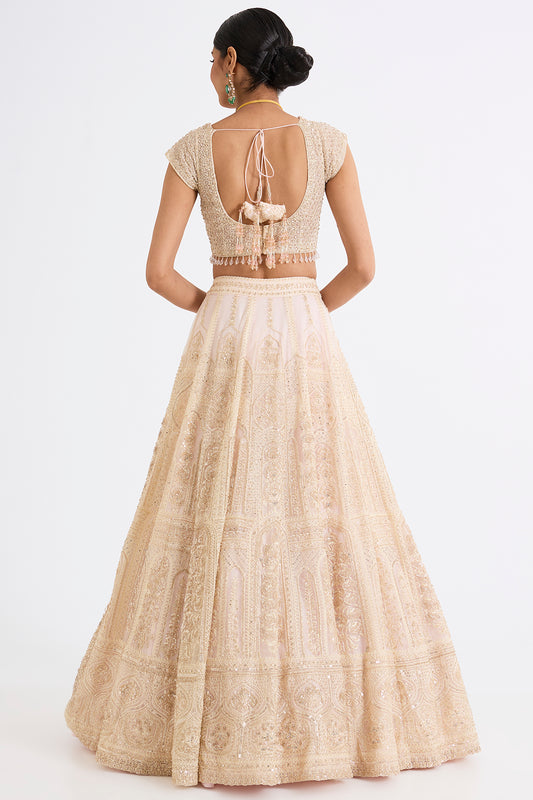 pink raw silk zari hand & machine embroidered lehenga set