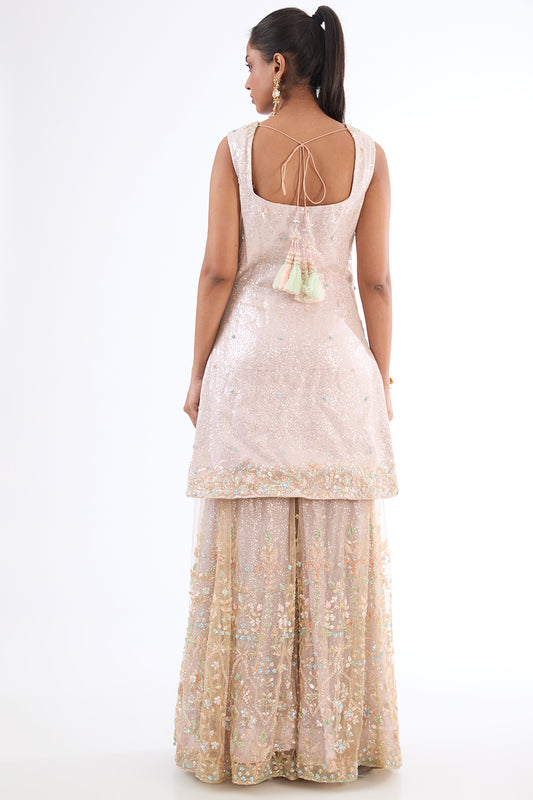 baby pink chanderi hand & machine embroidered sharara set