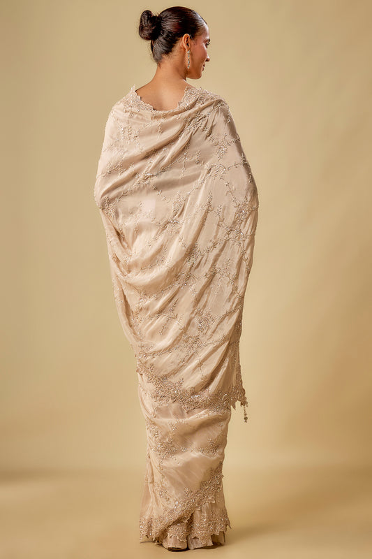 gold tissue hand & machine embroidered saree set