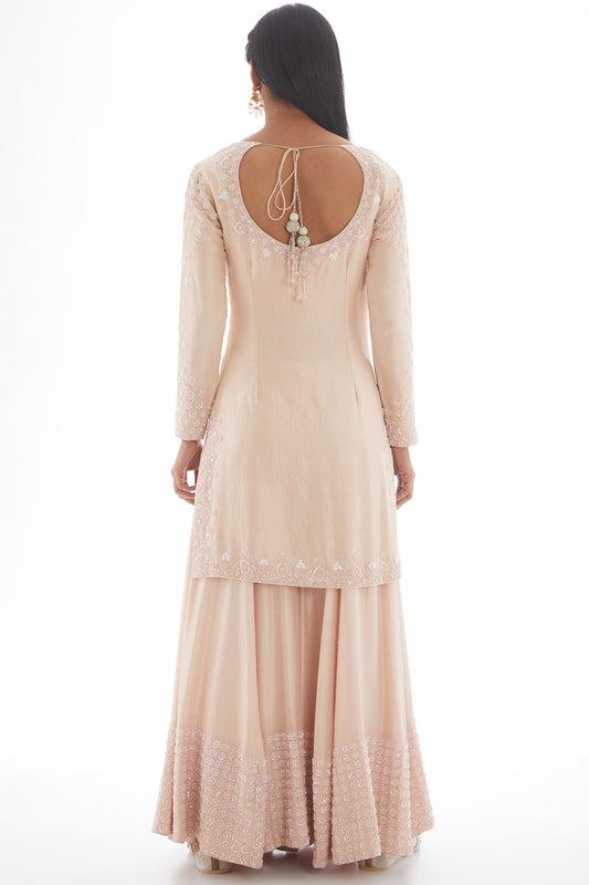 Blush pink embroidered sharara set