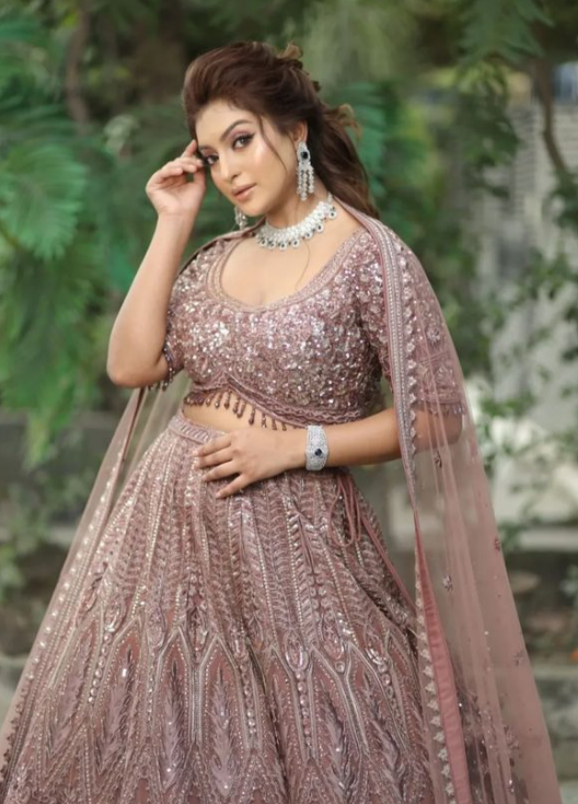 Light Brown Stone Embroidered Net Bridal Lehenga