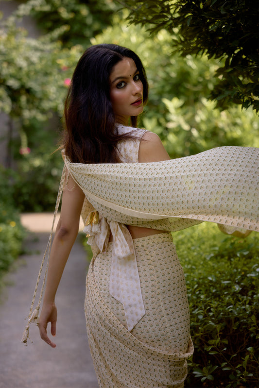 Haseena Cream Saree
