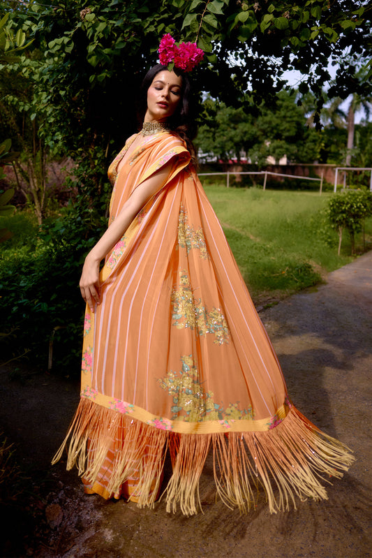Haseena Peach Orange Saree