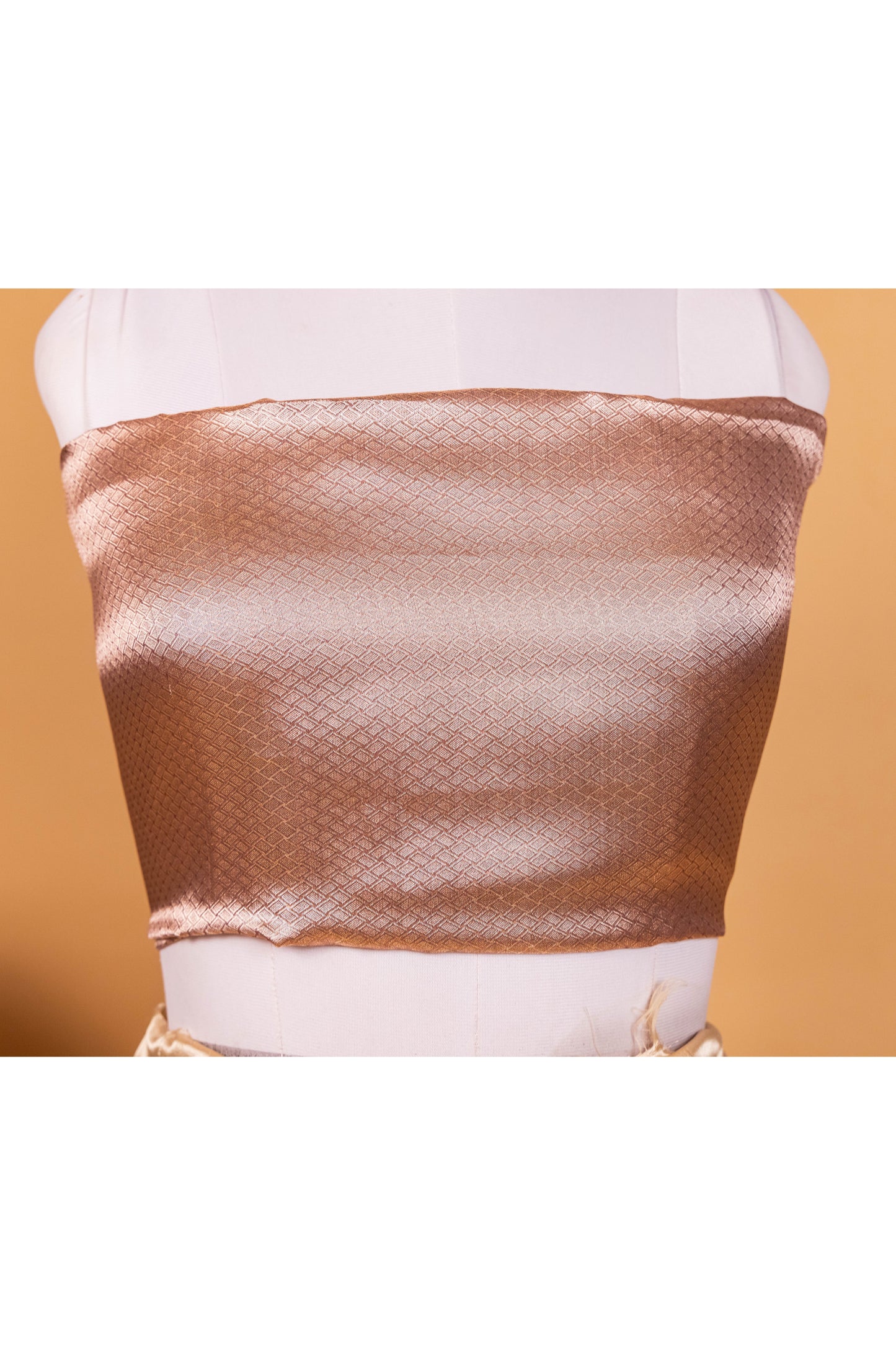 Dark Purple Tissue Pure Silk Dyed Saree - Panaya