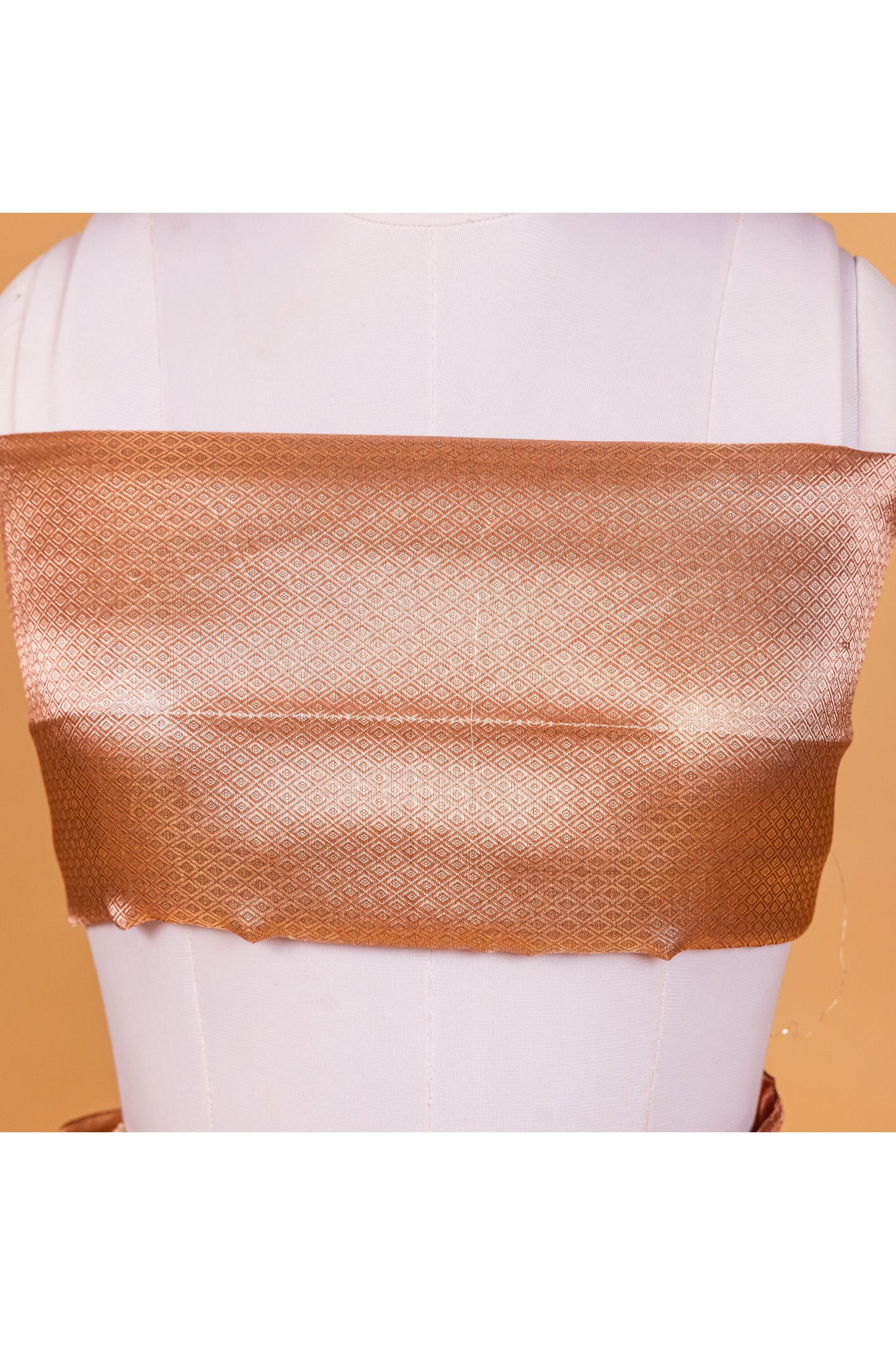 Light Chocolate Tissue Pure Silk Dyed Saree - Panaya