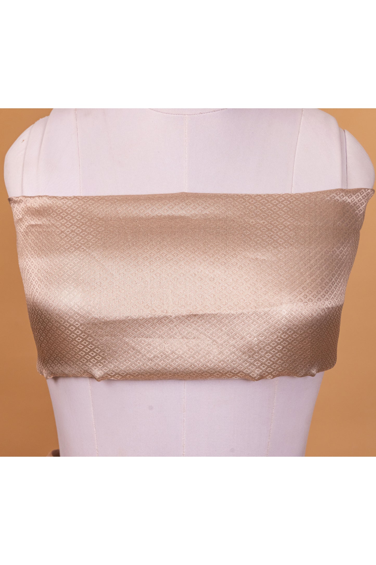 Silver Tissue Pure Silk Dyed Saree - Panaya