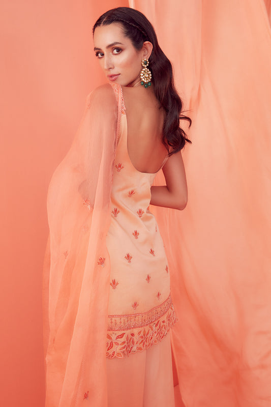 Peach Tonal Embroidered Sharara Set - Aarambh