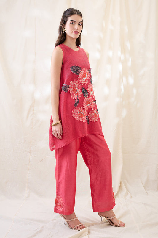 Ravya appliqued co-ord set