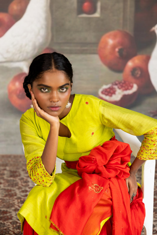 Green and Red motifs Embroidered Kurta set