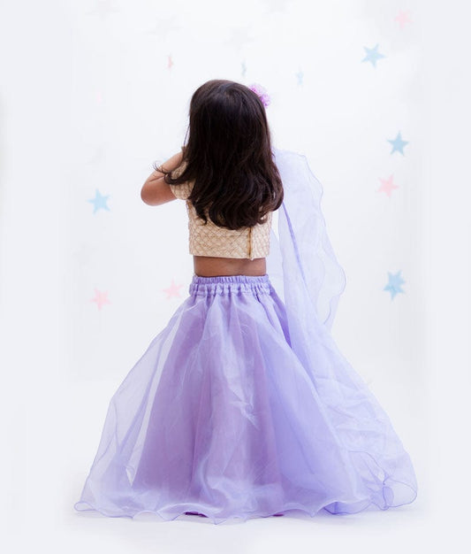 Beige Embroidery Purple Organza Lehenga with Choli Organza Dupatta for Girls