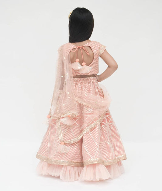 Peach Gota Embroidery Lehenga with Choli Boti Net Dupatta for Girls