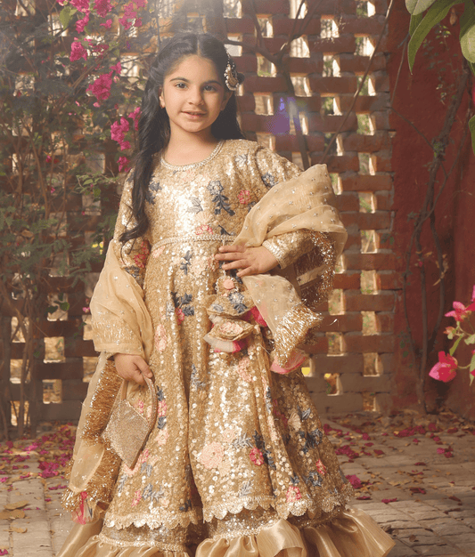 Manufactured by FAYON KIDS (Noida, U.P) Golden Sequence Anarkali with Dupatta
