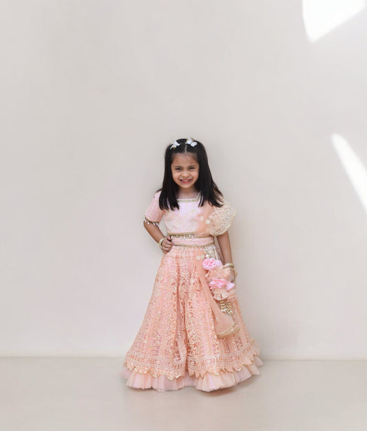 Peach Thread Lehenga Choli