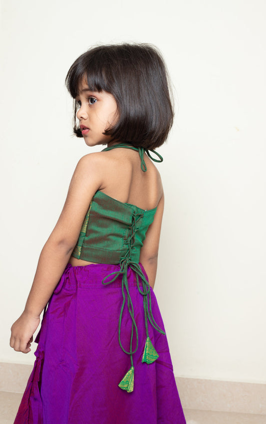Avani - Skirt and Top in Dual shade of purple with green zari