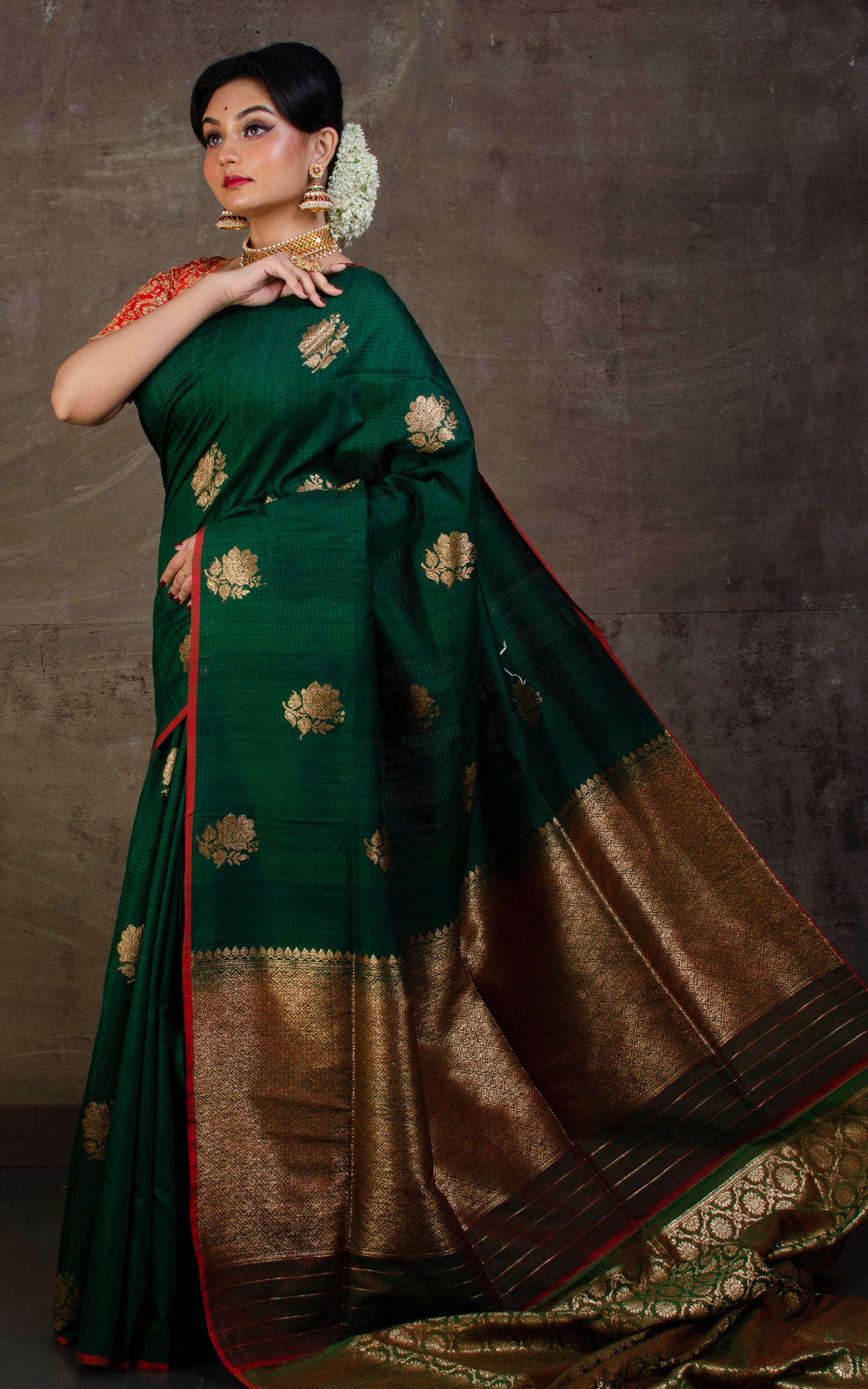 Tussar Banarasi Designer Poth Saree in John Lewis Green and Red