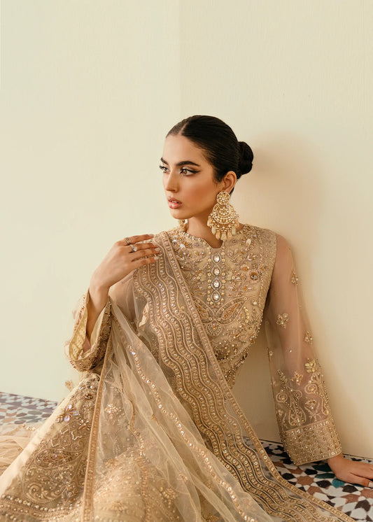Beige Color Heavy Embroidered Organza Sharara