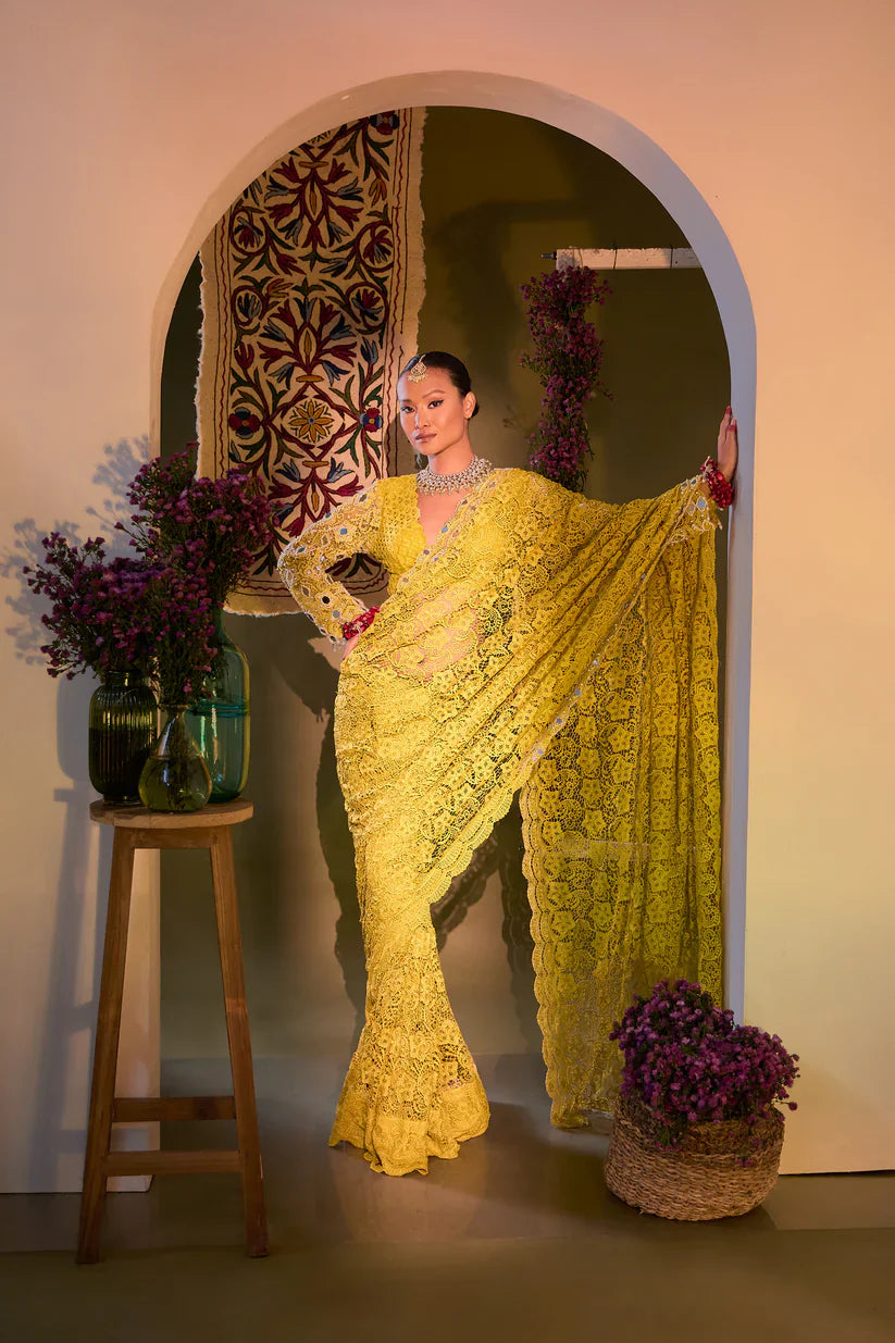 Designer Sarees