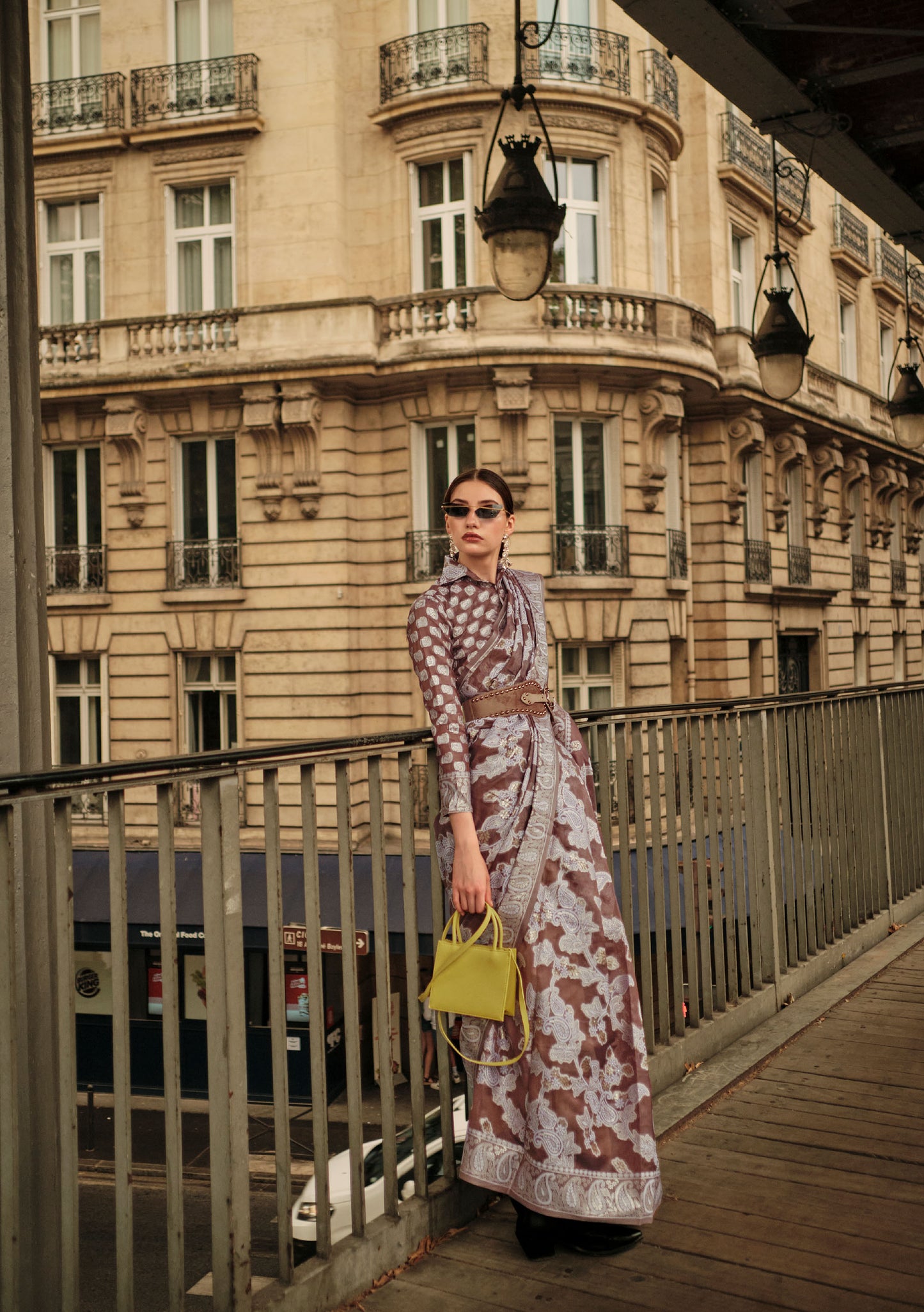 Brown Kaneeza Lucknow Chikankari Zari Saree