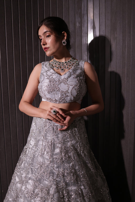 Starlit Silver Heavily Embellished Net Lehenga & Blouse