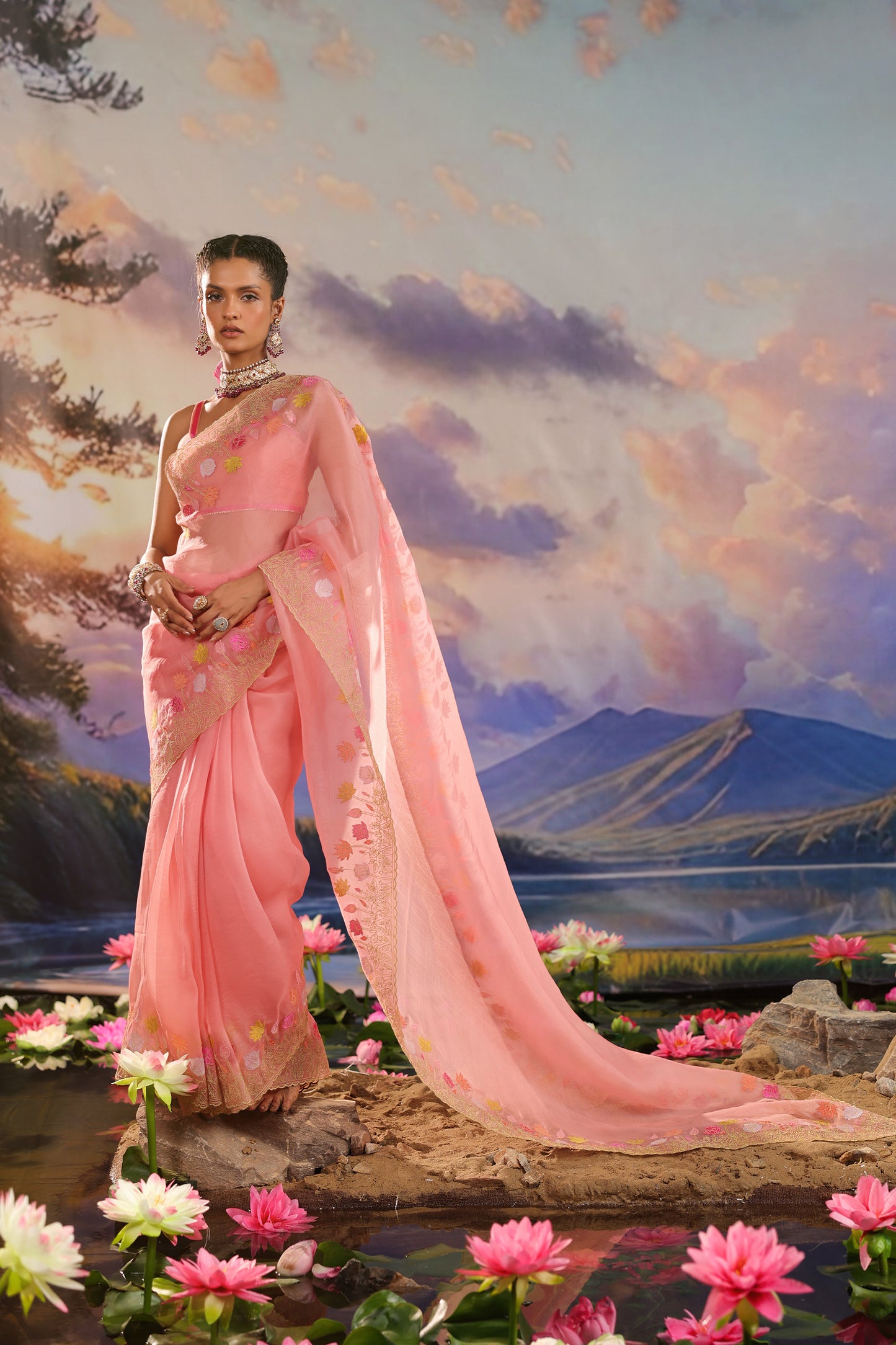 Peach Applique Work Organza Designer Saree